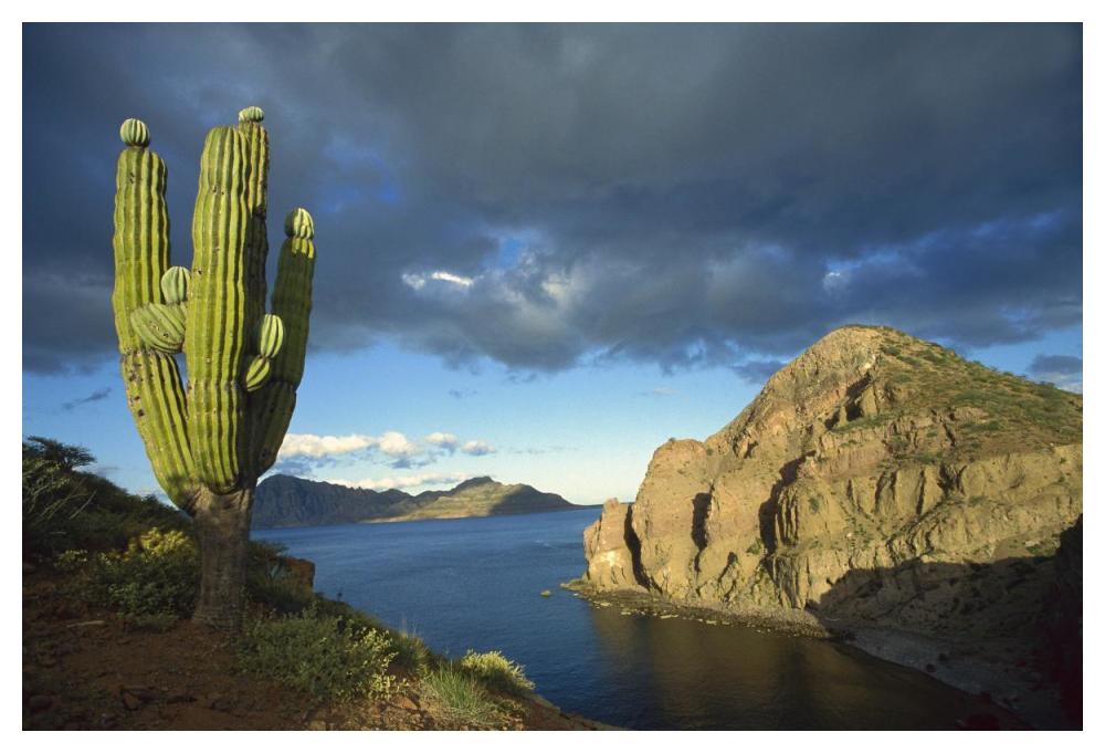Danzante Island, Sea of Cortez, Baja California, Mexico-Paper Art-50"x34"