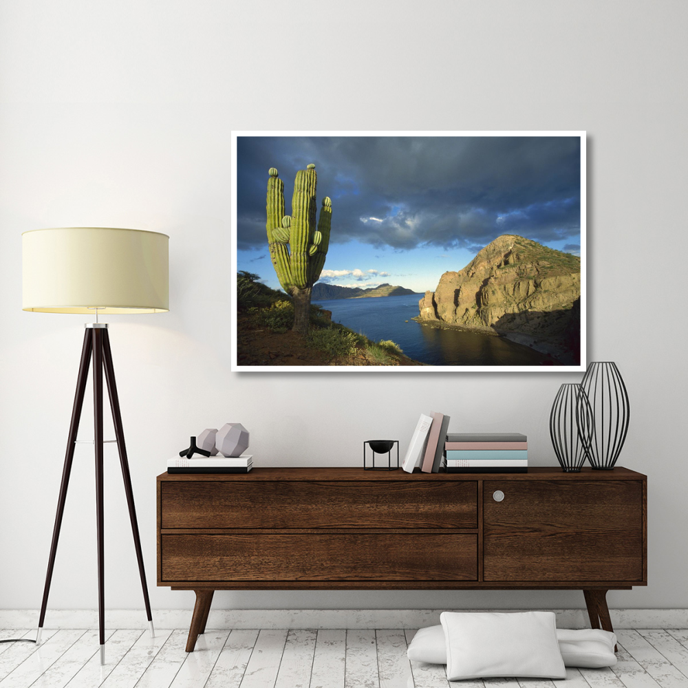 Danzante Island, Sea of Cortez, Baja California, Mexico-Paper Art-62&quotx42"