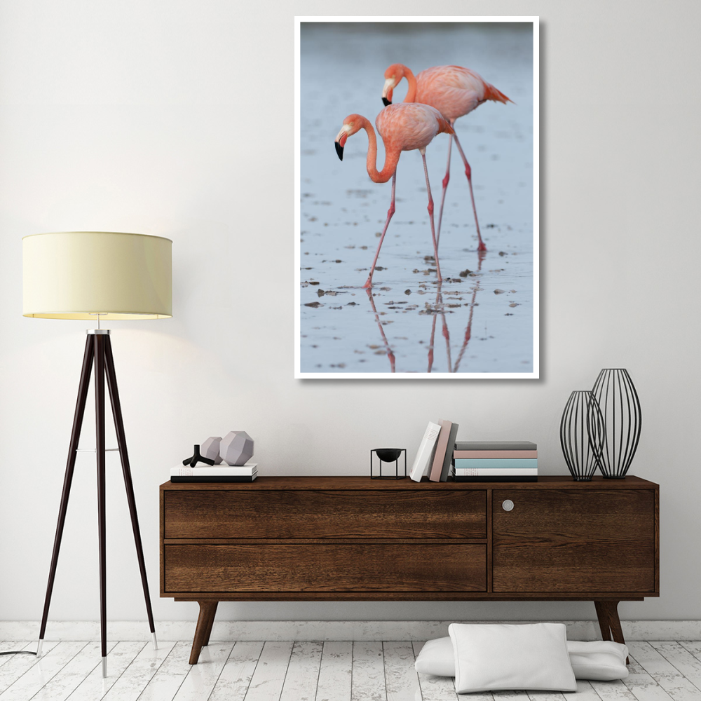 Greater Flamingo pair wading, Galapagos Islands, Ecuador-Paper Art-42&quotx62"