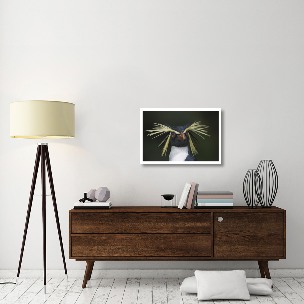 Rockhopper Penguin portrait, Gough Island, South Atlantic-Paper Art-32&quotx22"