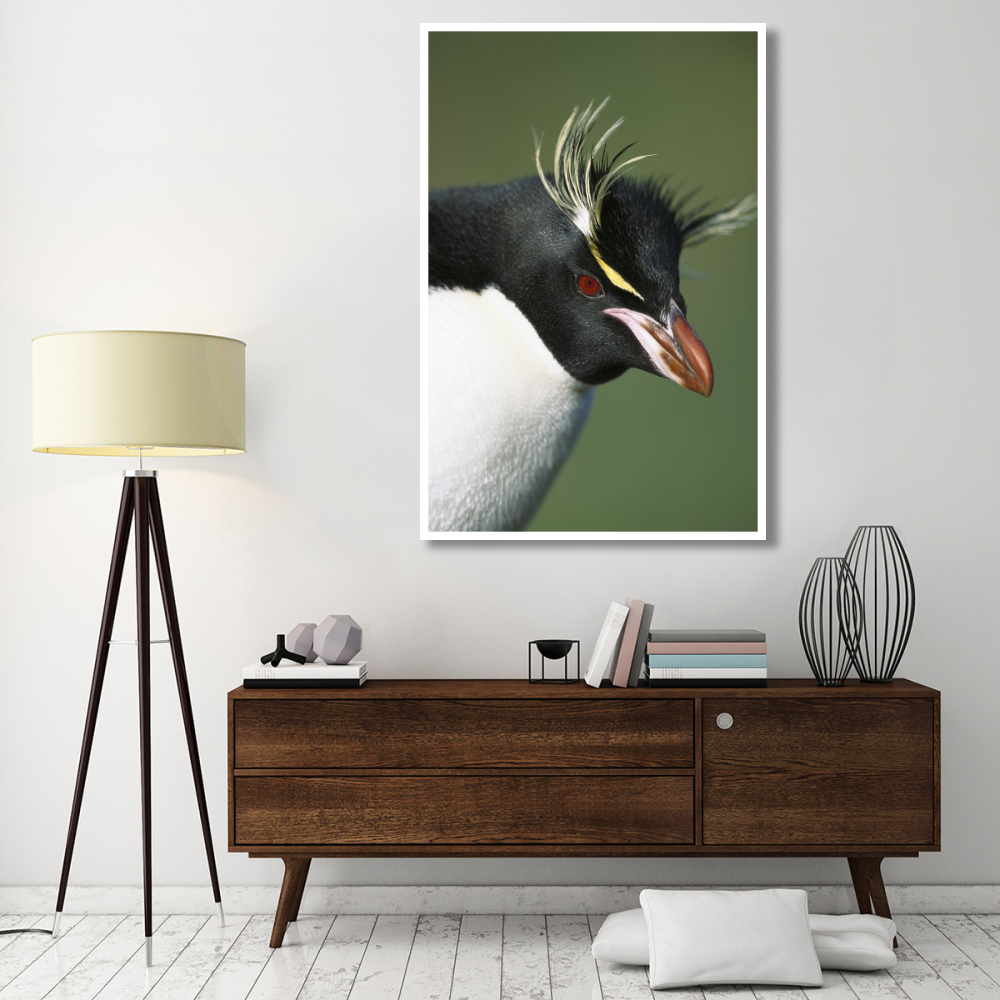 Rockhopper Penguin portrait, Penguin Bay, Campbell Island, New Zealand-Paper Art-42&quotx62"