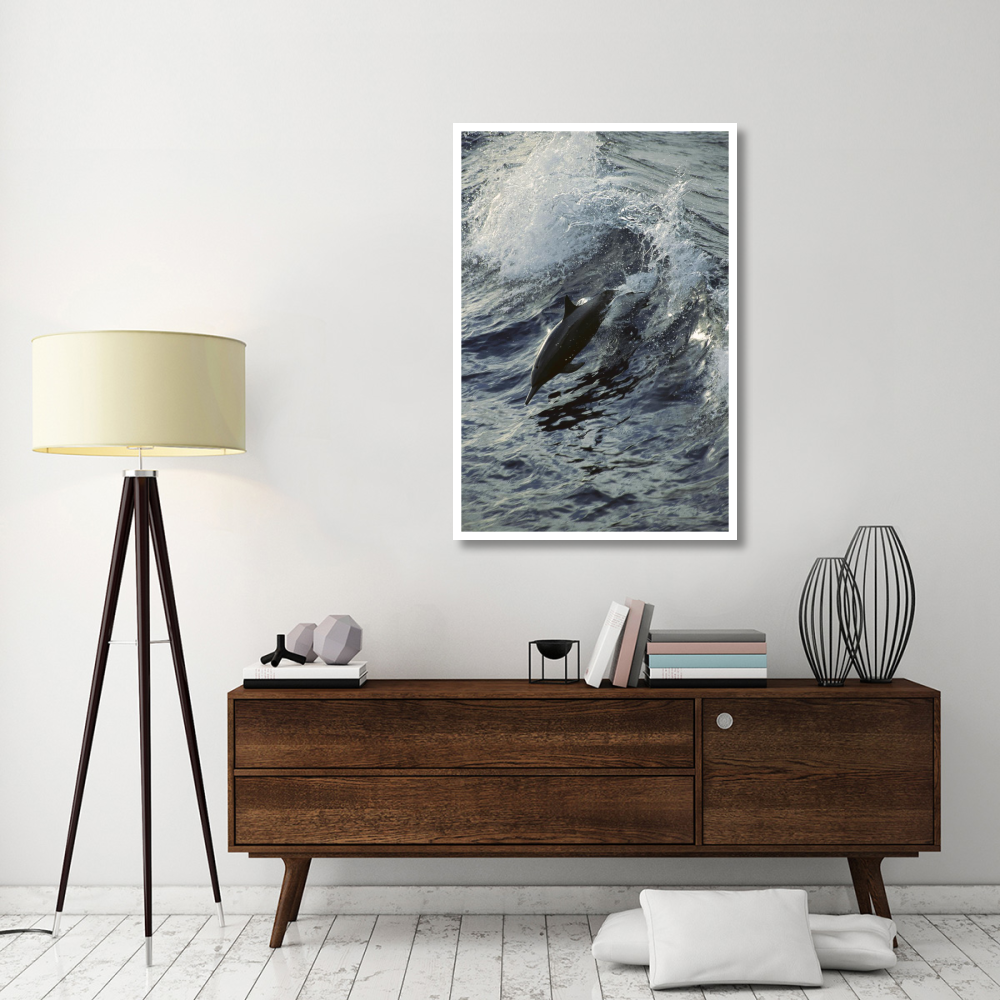 Spinner Dolphin jumping, between Panama and Cocos Island, tropical Eastern Pacific Ocean-Paper Art-34&quotx50"