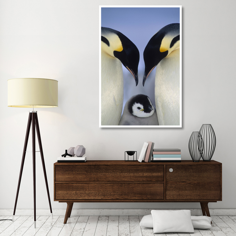 Emperor Penguin parents greeting chick, Atka Bay, Princess Martha Coast, Weddell Sea, Antarctica-Paper Art-42&quotx62"