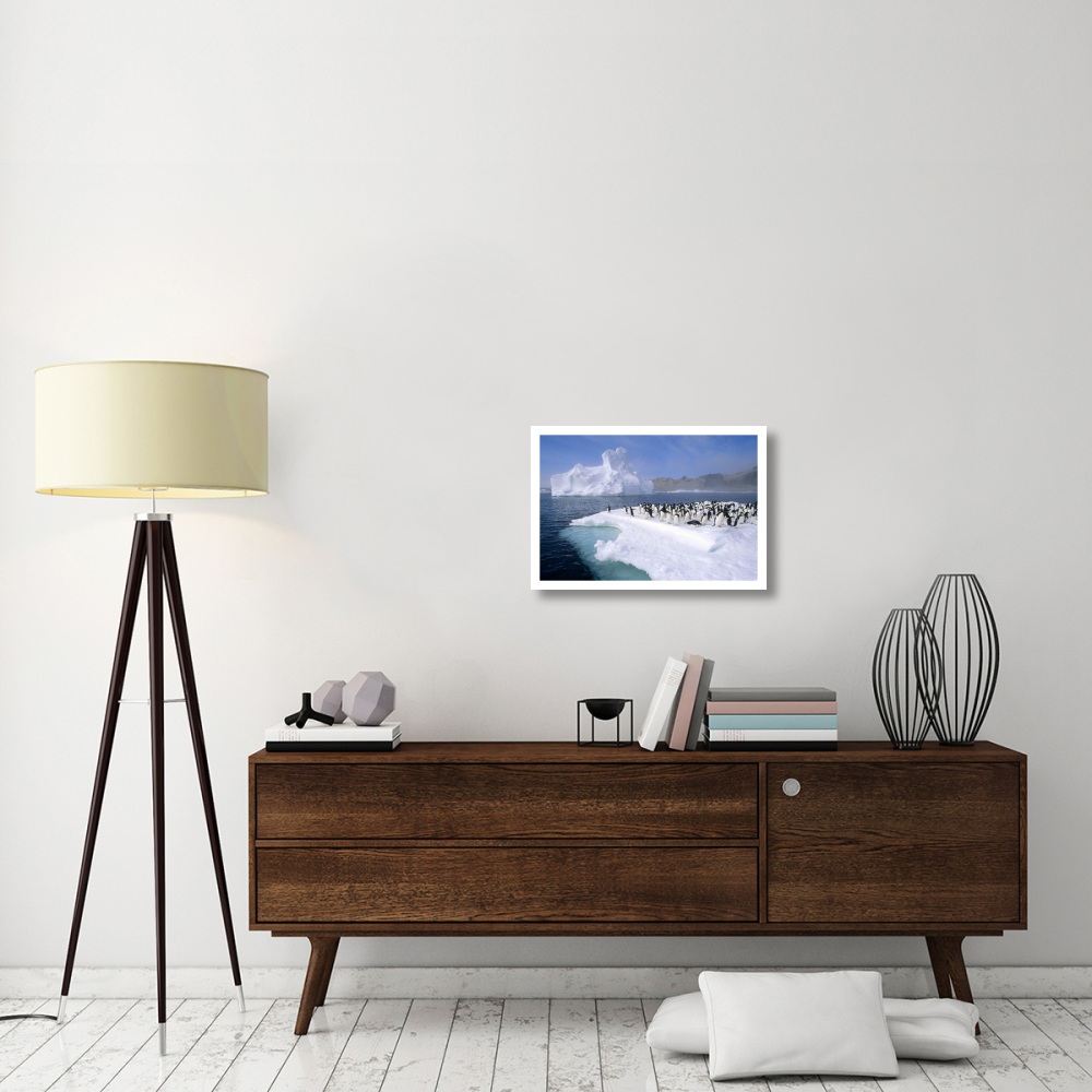 Adelie Penguin group crowding on melting summer ice floe, Possession Island, Ross Sea, Antarctica-Paper Art-26&quotx18"