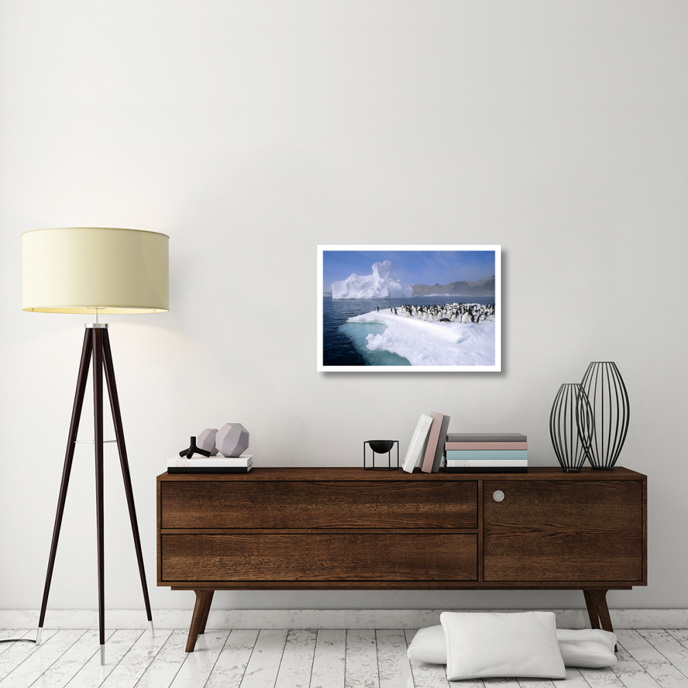 Adelie Penguin group crowding on melting summer ice floe, Possession Island, Ross Sea, Antarctica-Paper Art-32&quotx22"