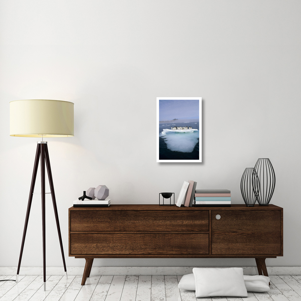 Adelie Penguin group crowding on melting summer ice floe, Possession Island, Ross Sea, Antarctica-Paper Art-18&quotx26"