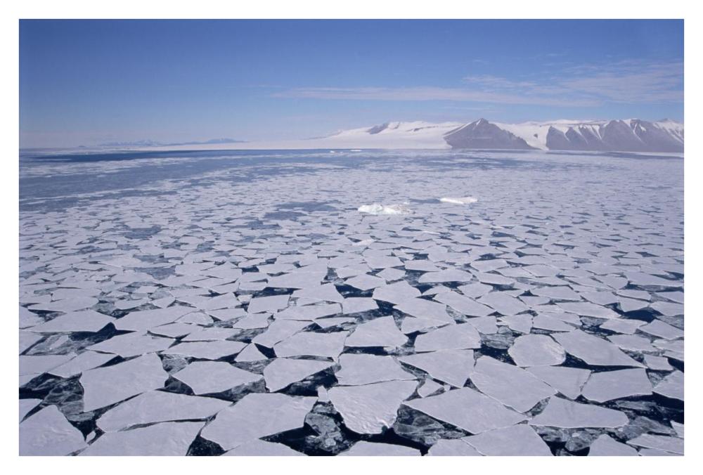 Sea ice break-up, aerial view, Transantarctic Mountains, New Harbour, McMurdo Sound, Ross Sea, Antarctica-Paper Art-38"x26"