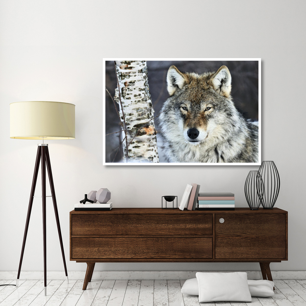 Gray Wolf portrait, Norway-Paper Art-62&quotx42"