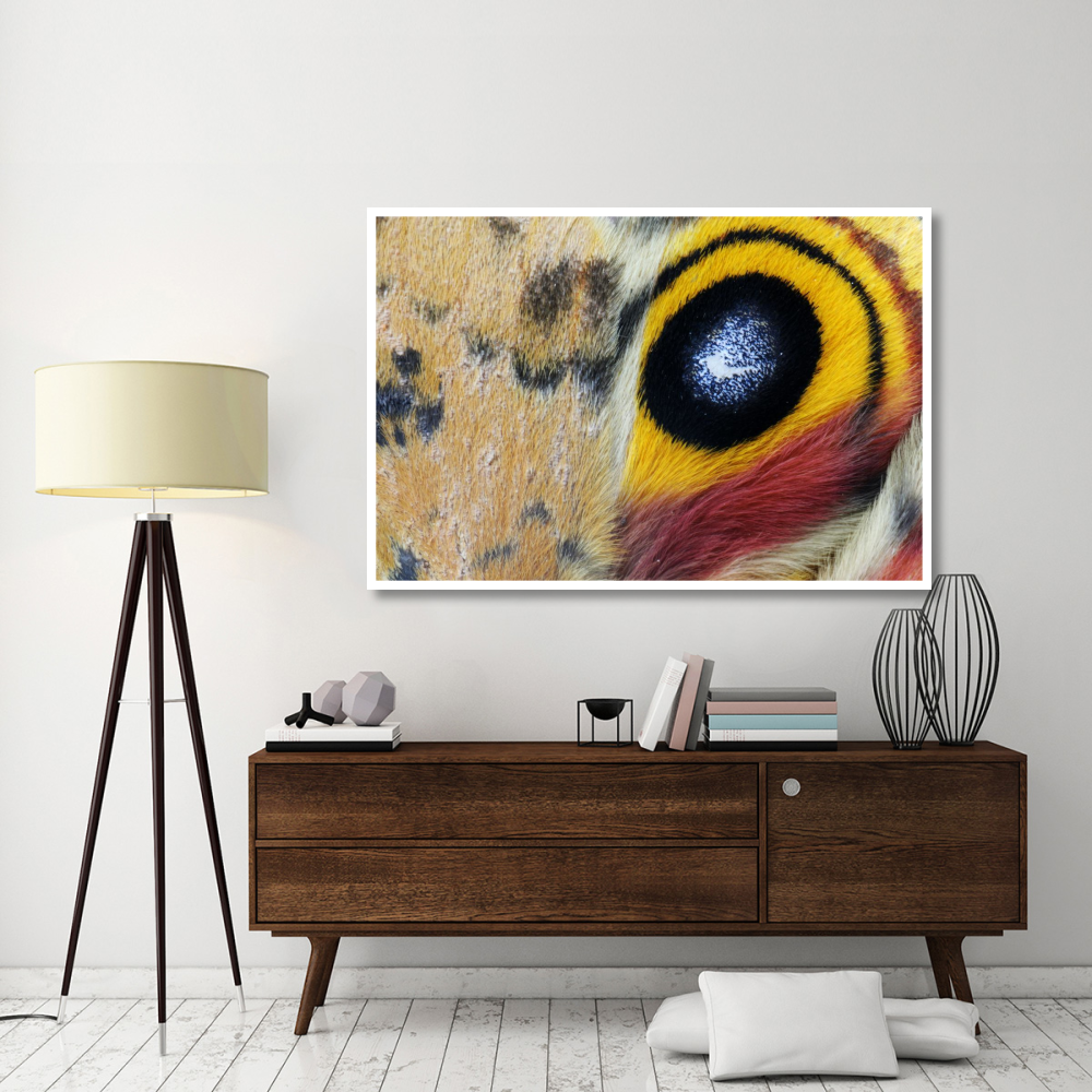 Io Moth Wing with Eye-spot, Texas-Paper Art-62&quotx42"