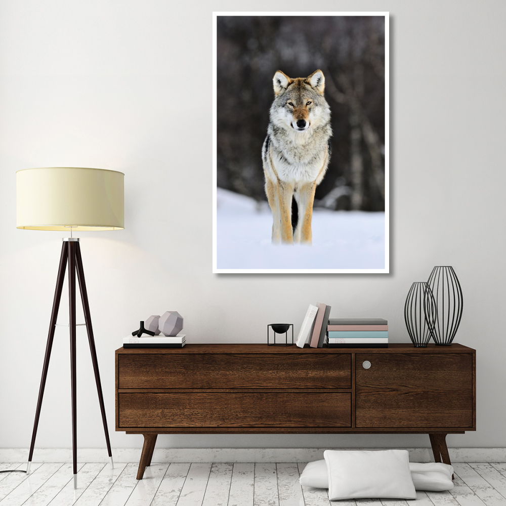 Gray Wolf standing in the snow, Norway-Paper Art-42&quotx62"