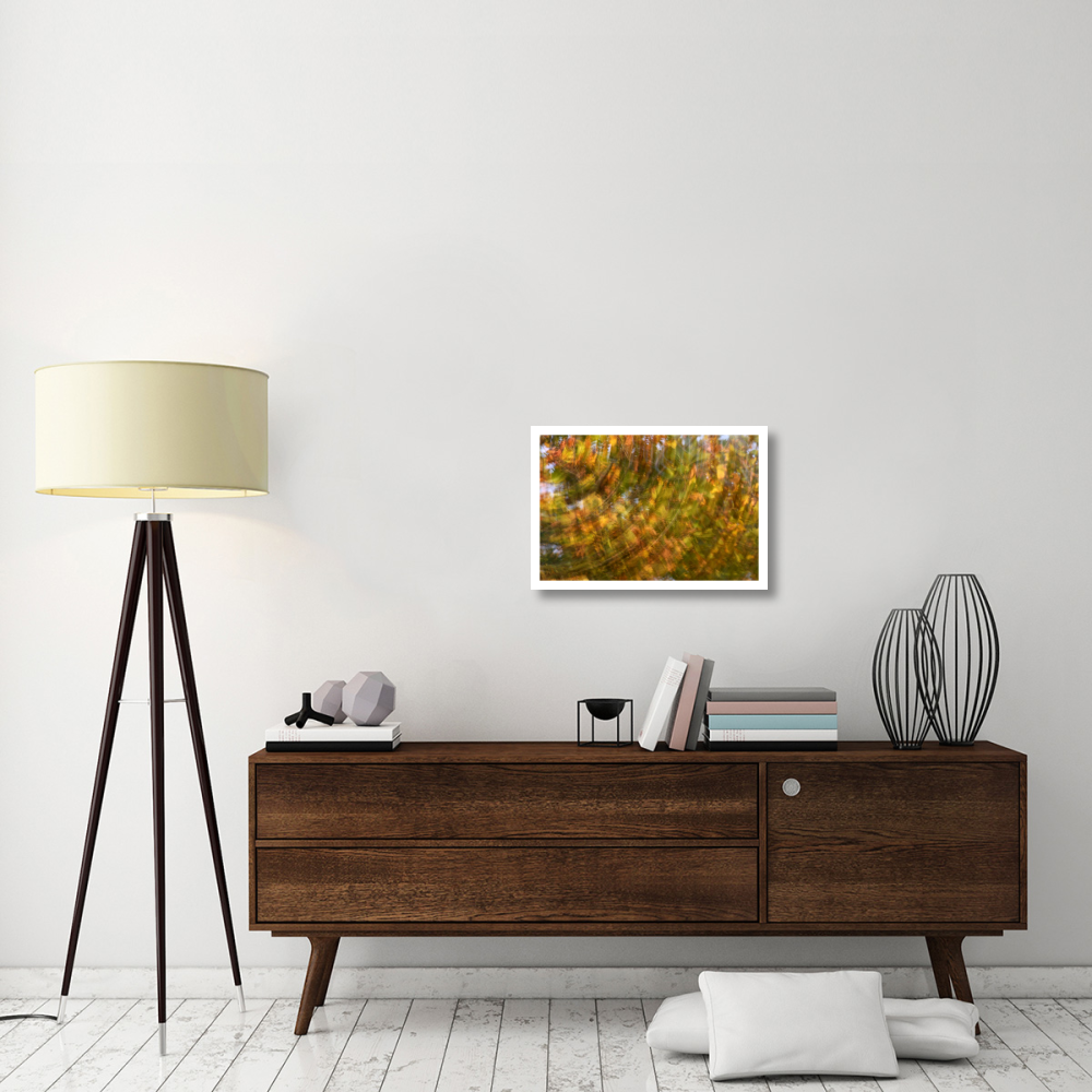 Fall colored tree, Vlaardingen, Netherlands-Paper Art-26&quotx18"