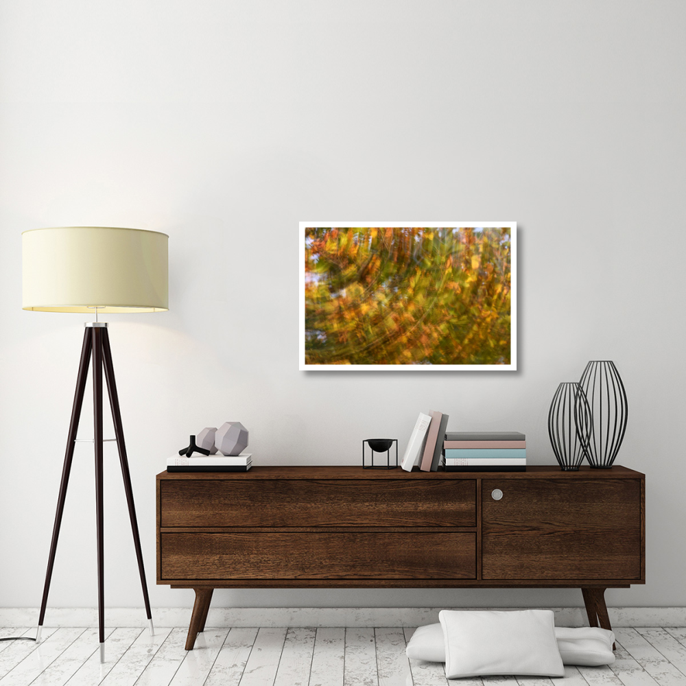 Fall colored tree, Vlaardingen, Netherlands-Paper Art-38&quotx26"