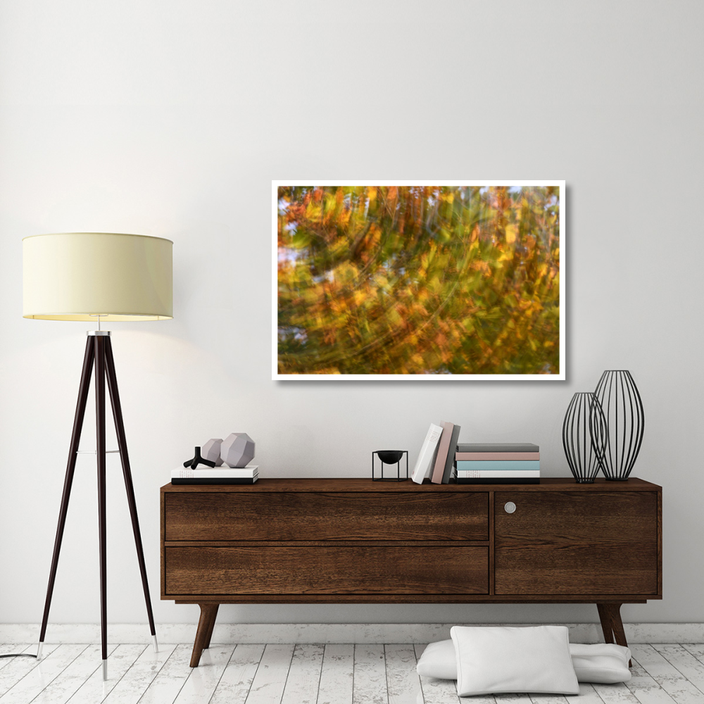 Fall colored tree, Vlaardingen, Netherlands-Paper Art-50&quotx34"