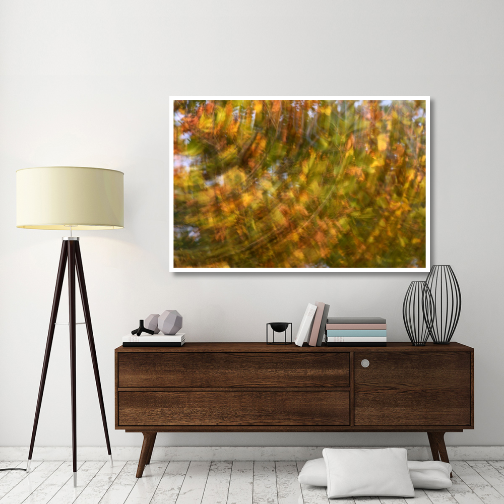 Fall colored tree, Vlaardingen, Netherlands-Paper Art-62&quotx42"
