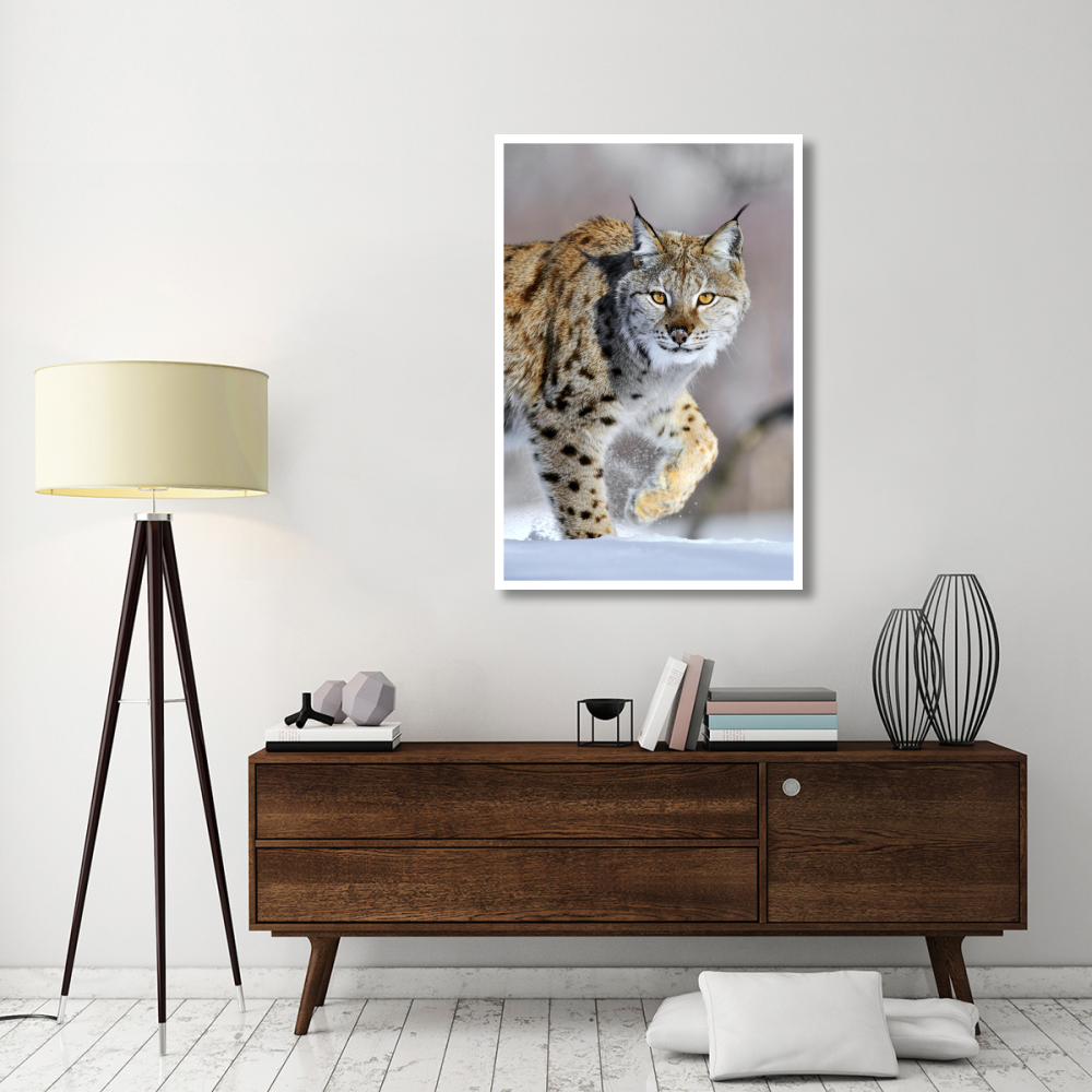 Eurasian Lynx walking through the snow, Norway-Paper Art-34&quotx50"