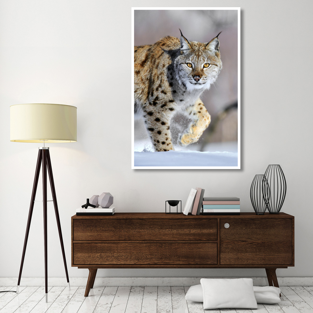 Eurasian Lynx walking through the snow, Norway-Paper Art-42&quotx62"