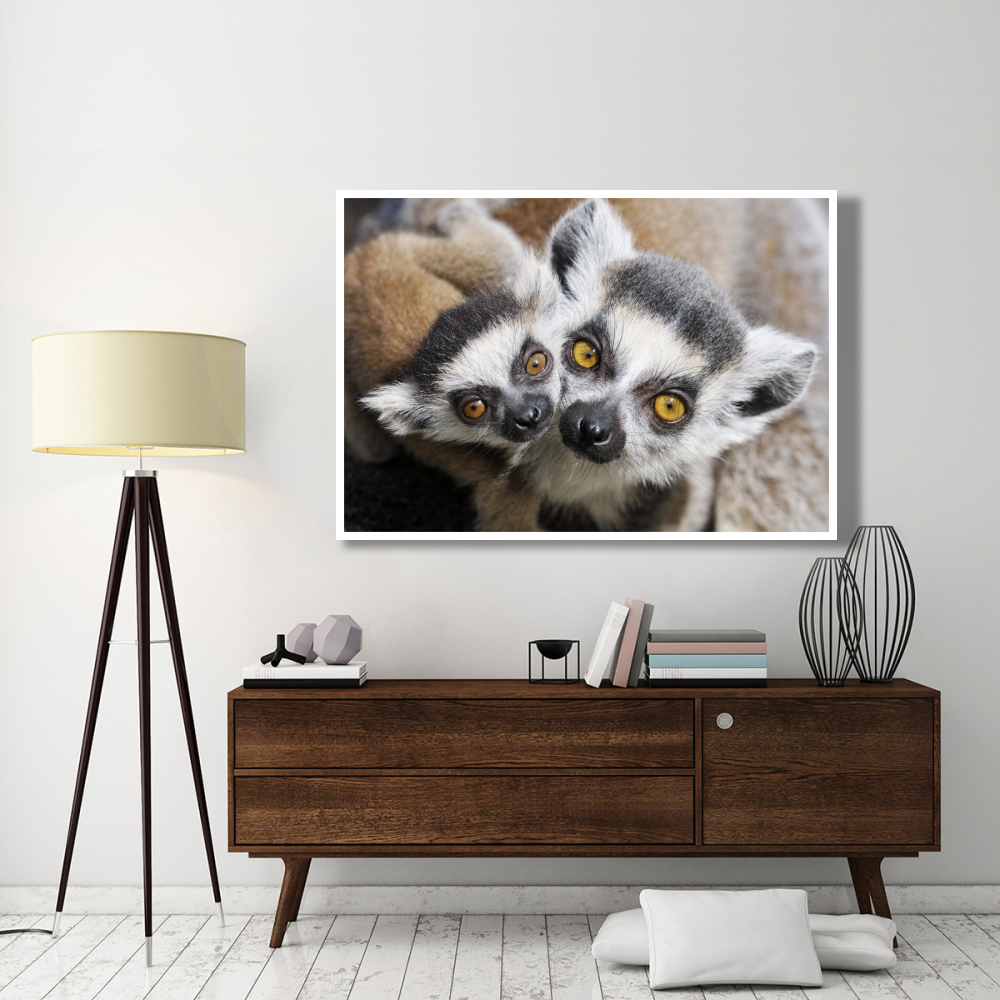 Ring-tailed Lemur, portrait of adult with young.-Paper Art-62&quotx42"
