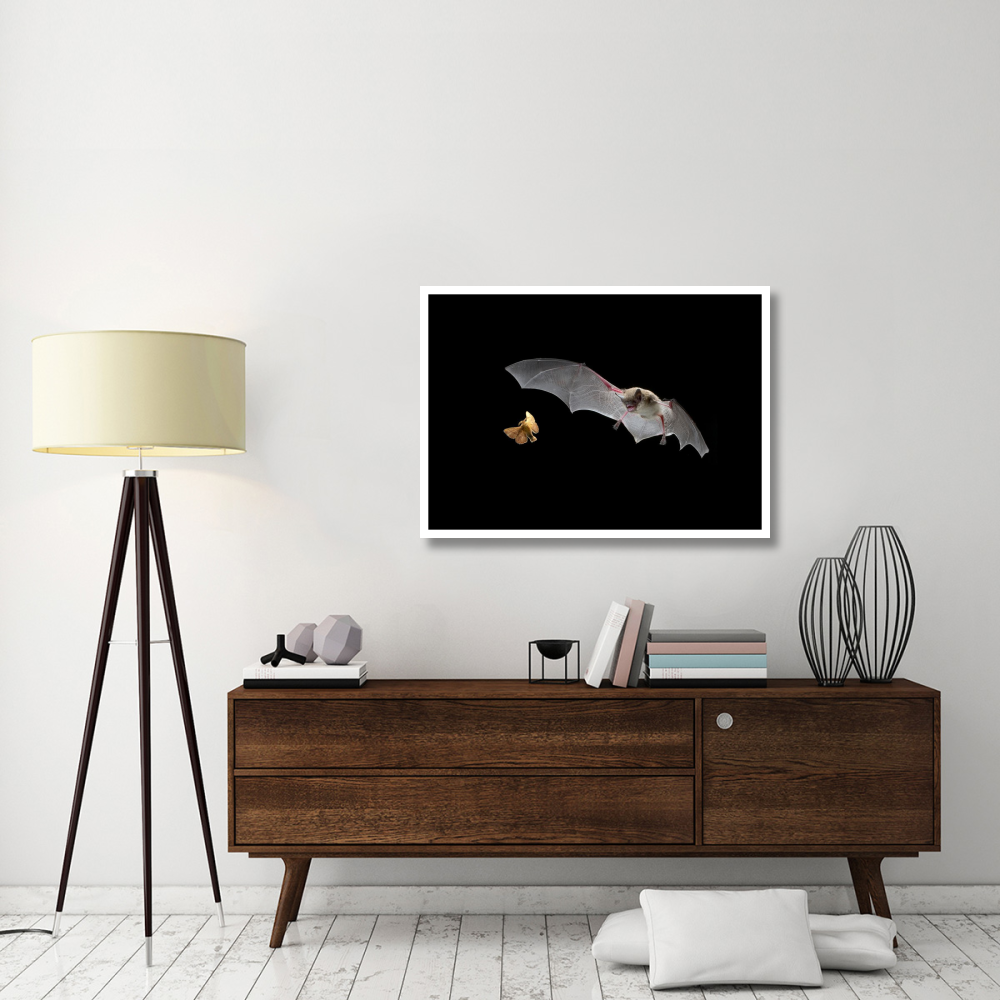 Little Brown Bat pursues a forest moth-Paper Art-42&quotx30.4"