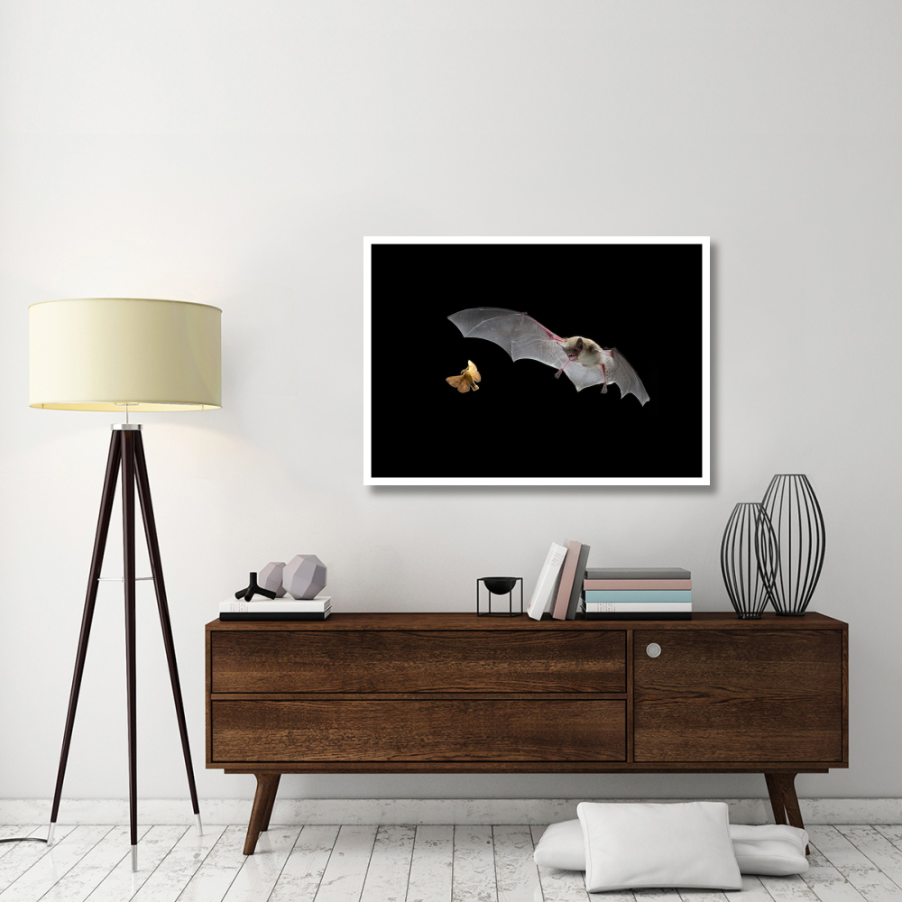 Little Brown Bat pursues a forest moth-Paper Art-46&quotx33.2"