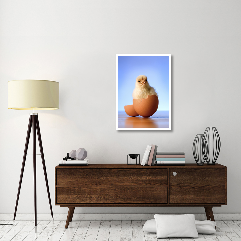 Domestic Chicken hatchling in egg shell-Paper Art-27.6&quotx38"