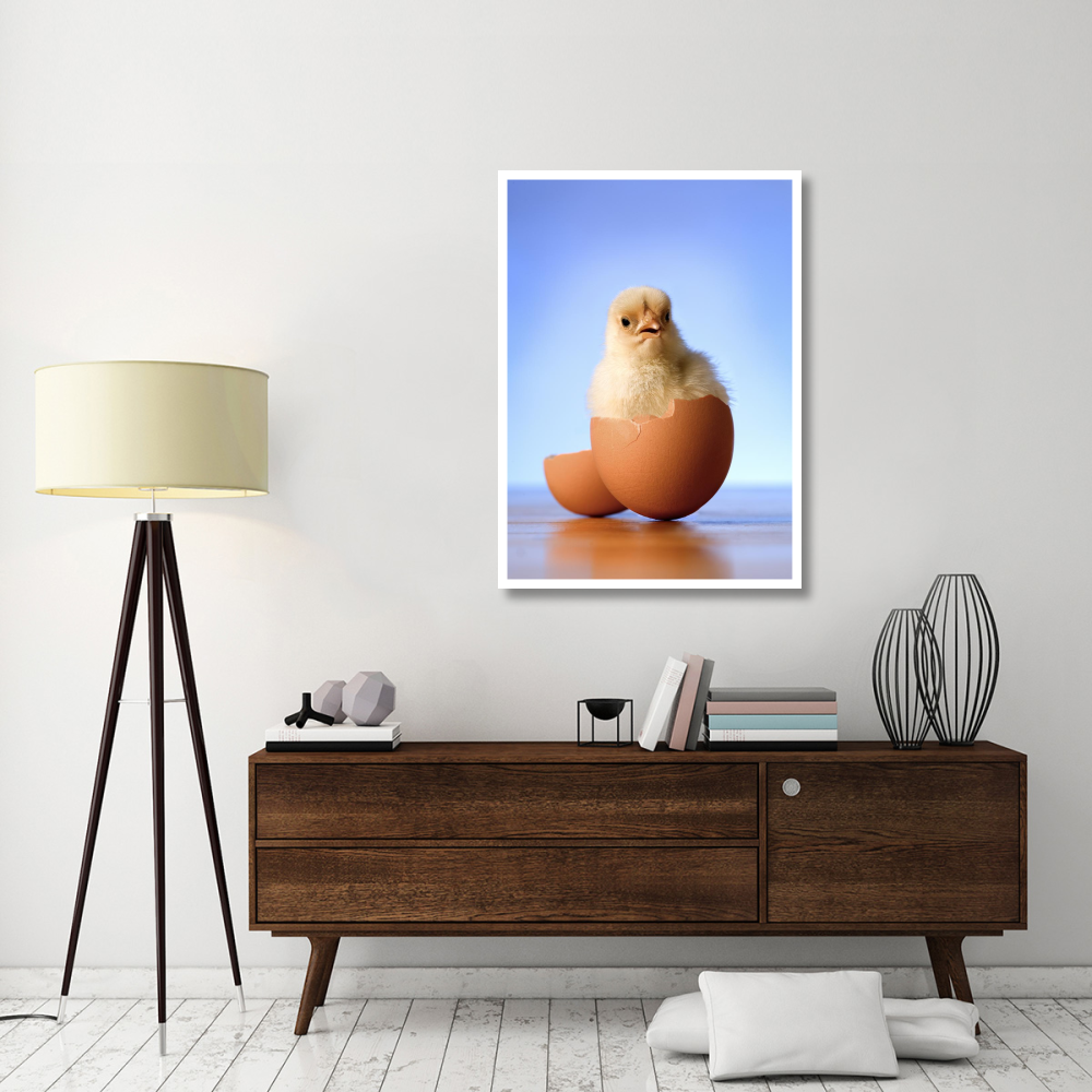 Domestic Chicken hatchling in egg shell-Paper Art-33.2&quotx46"