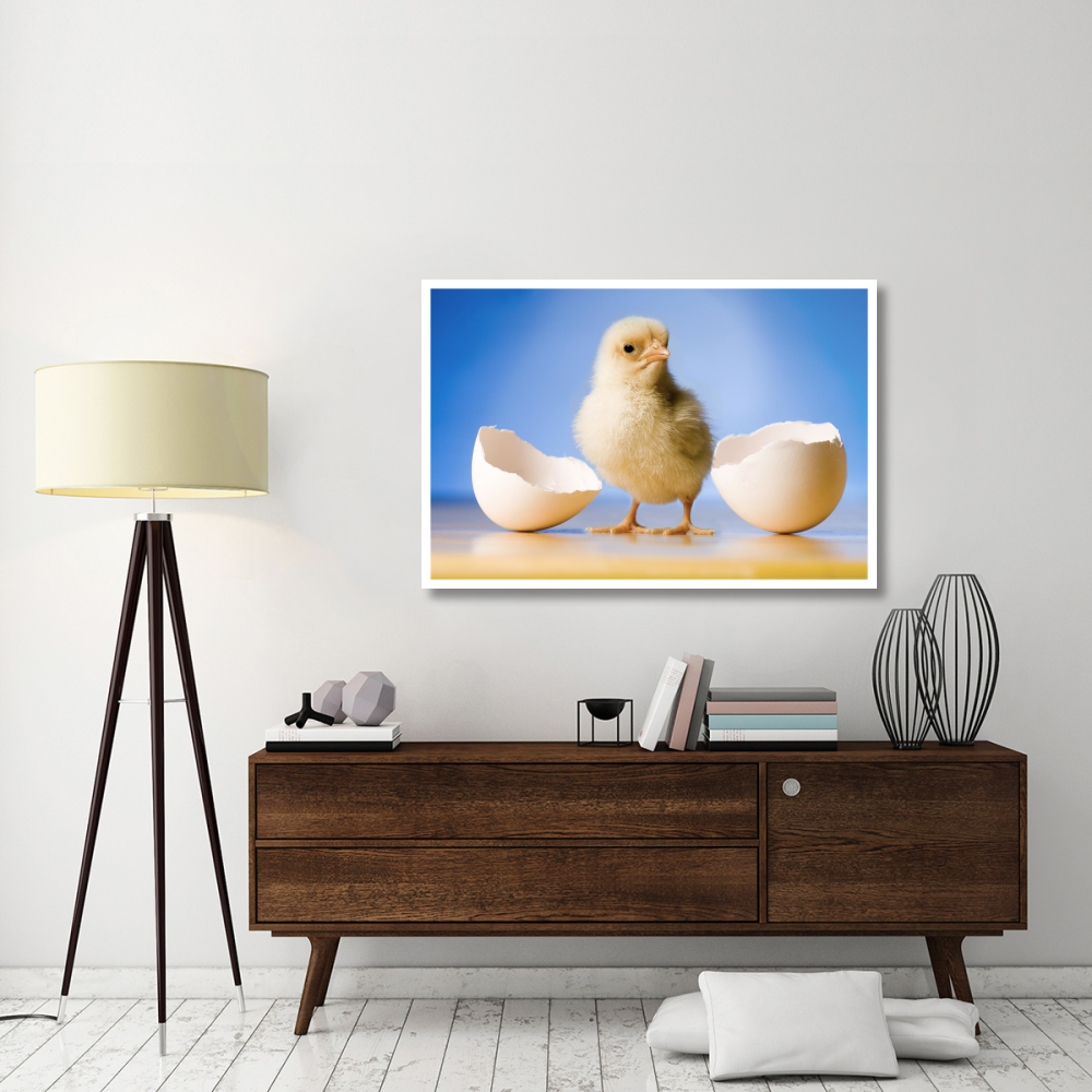 Domestic Chicken, banty morph, hatchling with egg shell-Paper Art-50&quotx34"