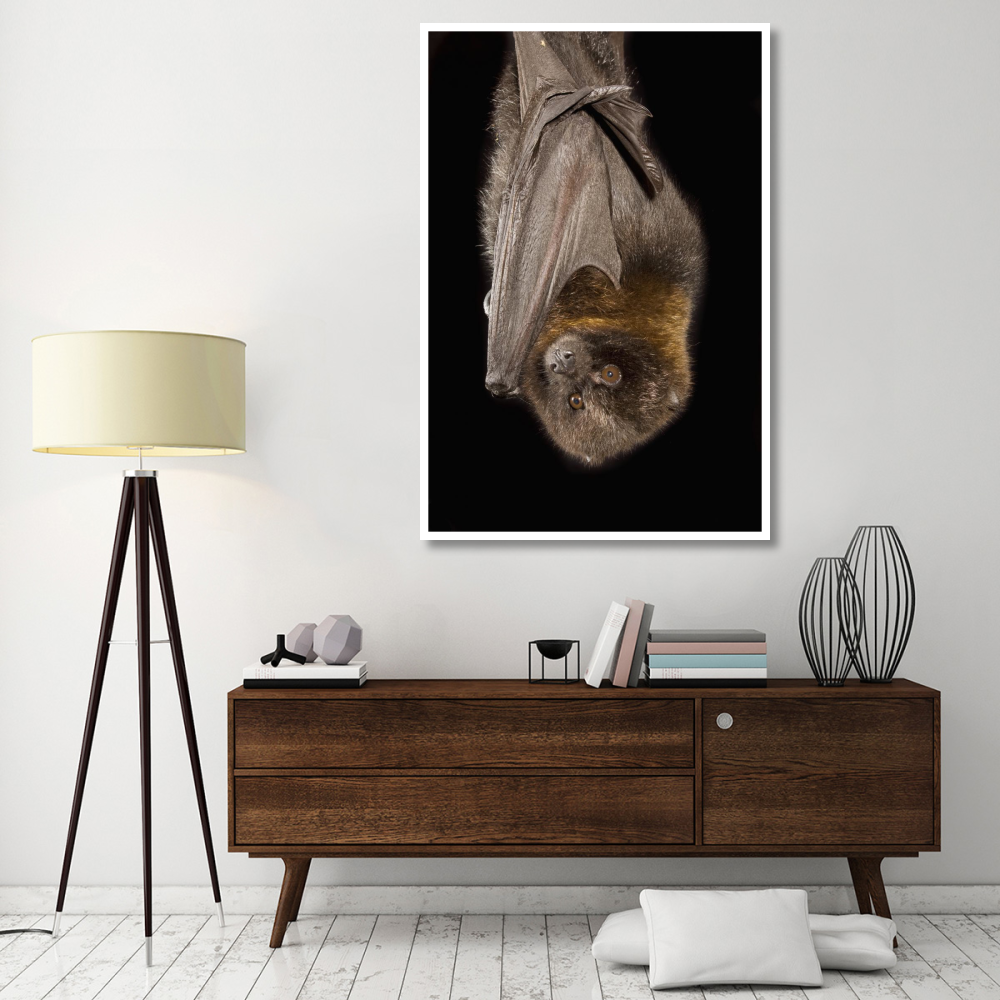 Rodrigues Flying Fox roosting, native to Rodrigues Island-Paper Art-42&quotx62"