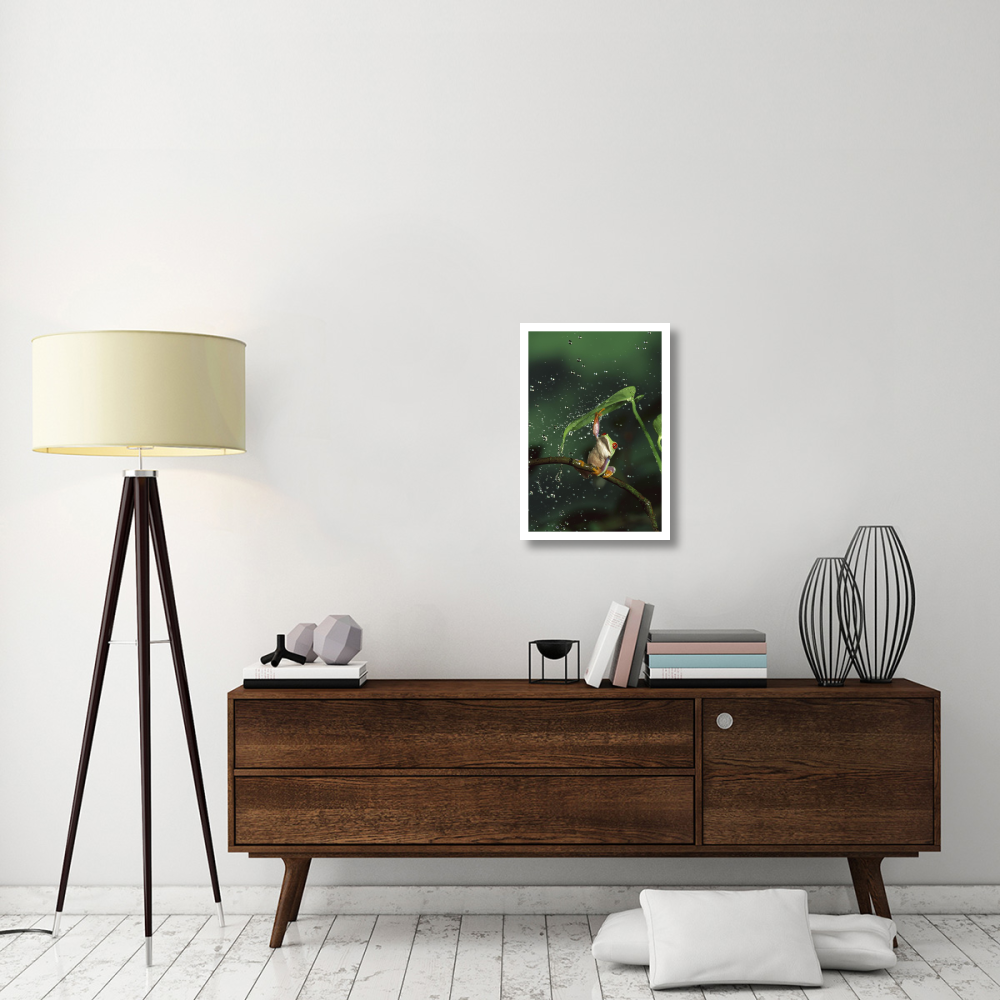 Red-eyed Tree Frog in rain, native to Central and South America-Paper Art-18&quotx26"