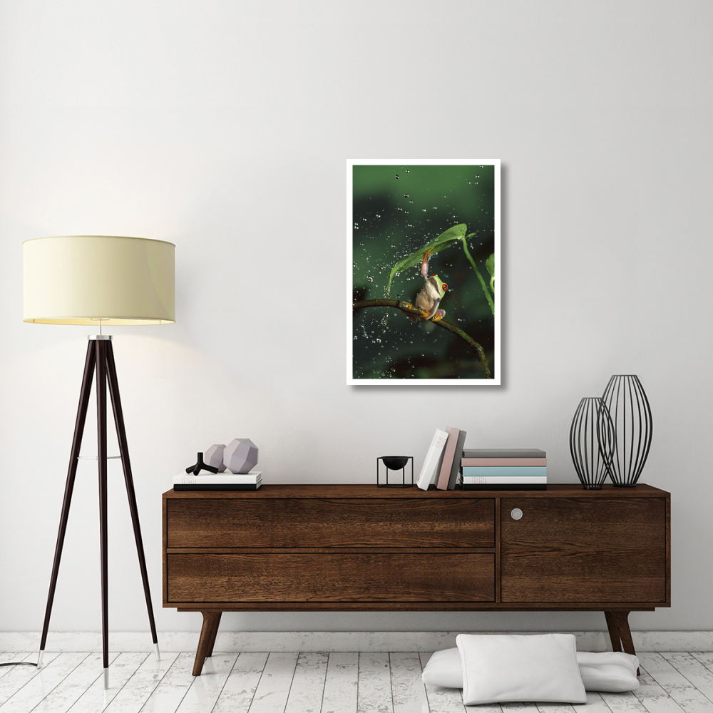 Red-eyed Tree Frog in rain, native to Central and South America-Paper Art-26&quotx38"