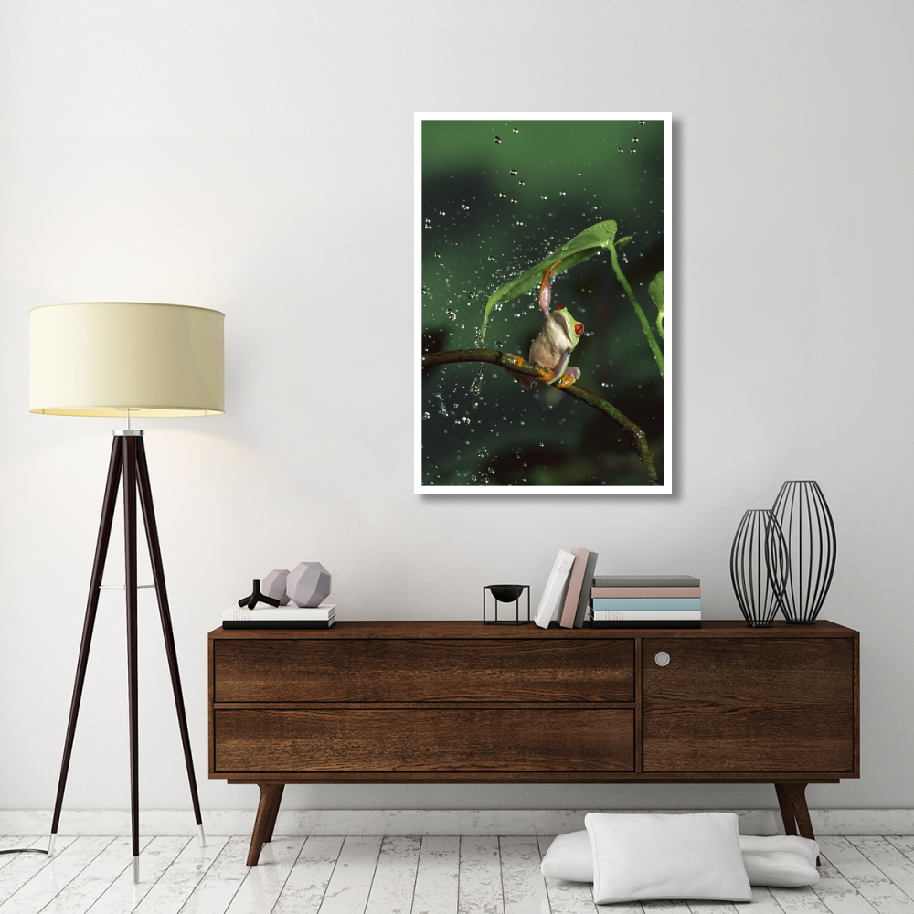 Red-eyed Tree Frog in rain, native to Central and South America-Paper Art-34&quotx50"