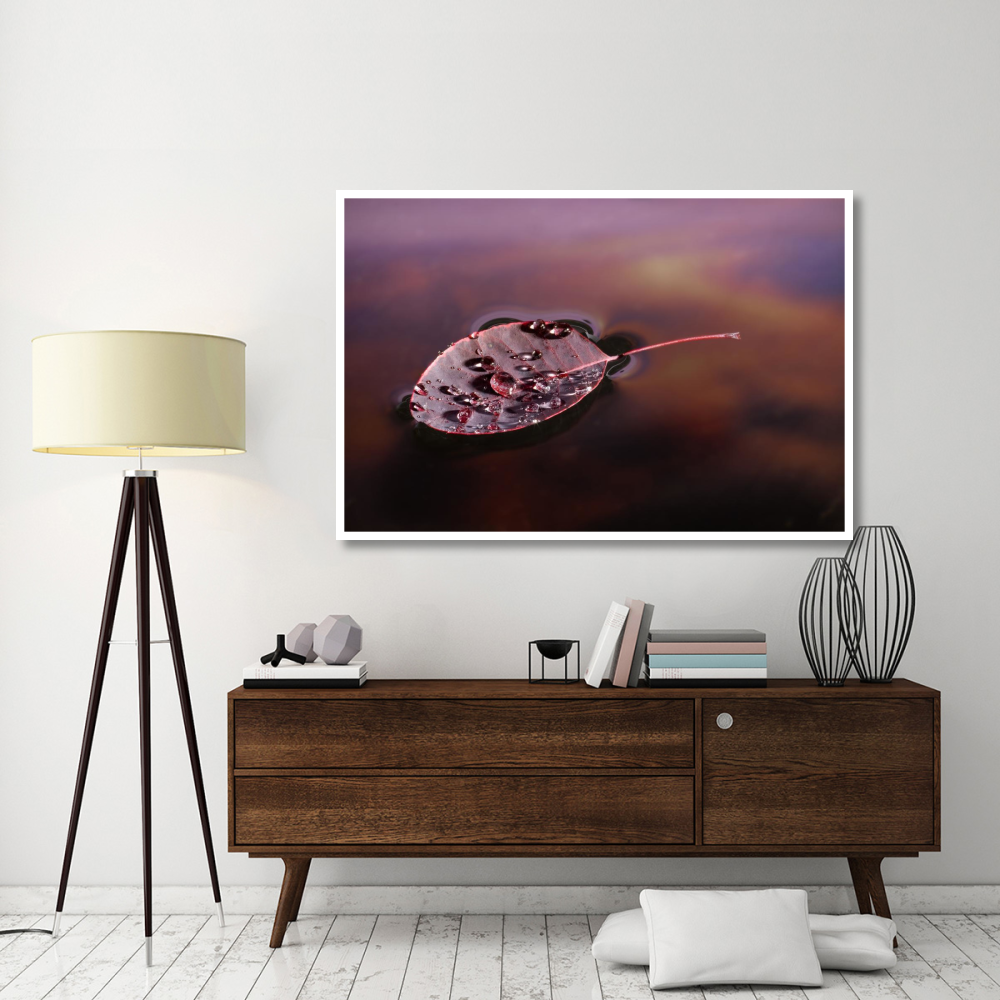 European Smoketree leaf floating with sunset reflections, western Oregon-Paper Art-62&quotx42"