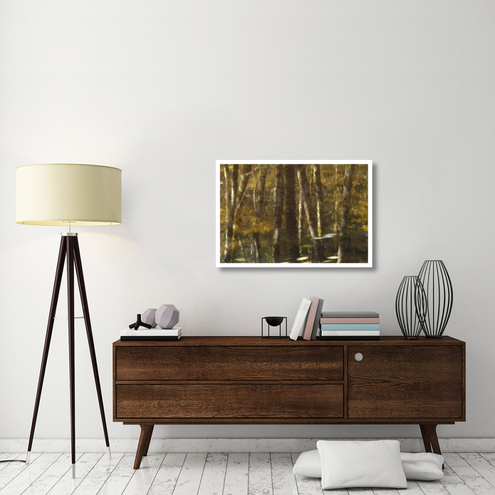 Reflection of Red Alder and Vine Maple in quiet waters of Upper Necanicum River, Oregon-Paper Art-38&quotx26"