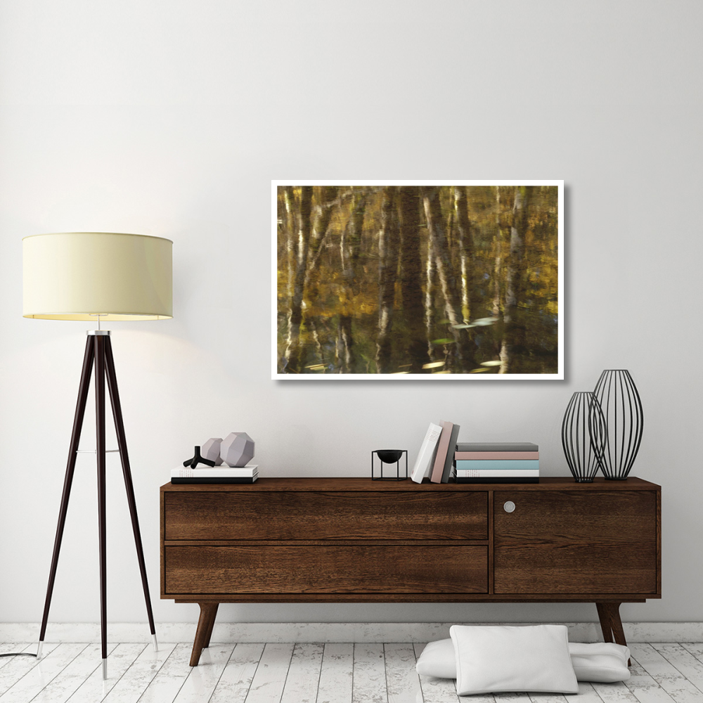 Reflection of Red Alder and Vine Maple in quiet waters of Upper Necanicum River, Oregon-Paper Art-50&quotx34"