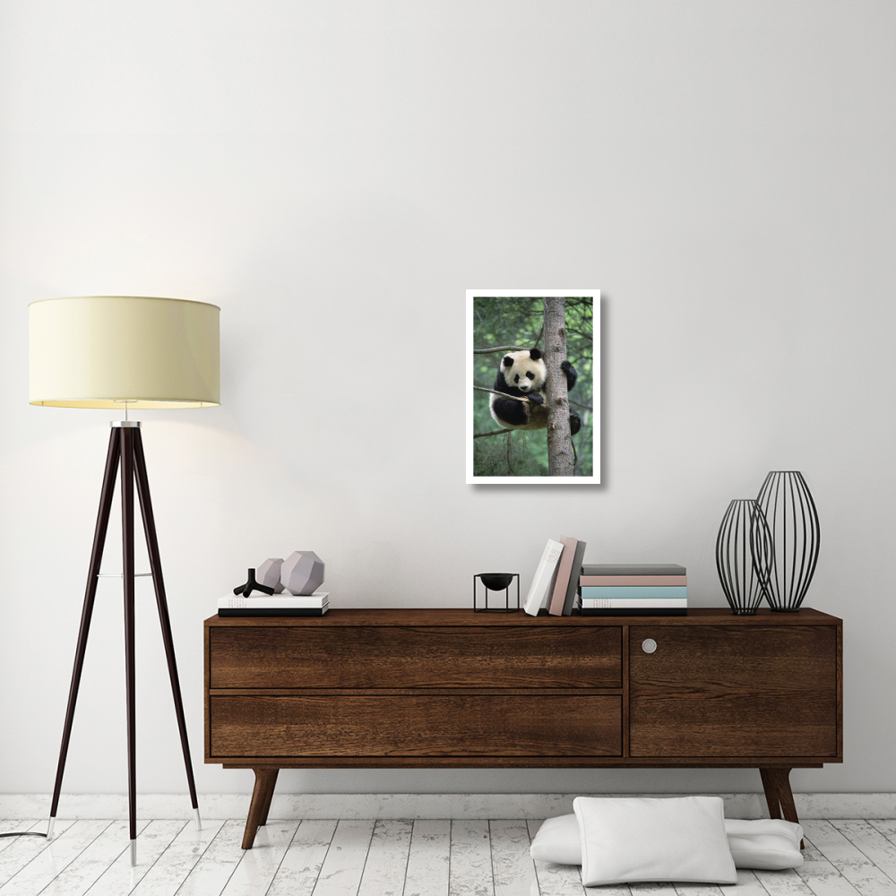 Giant Panda in tree-Paper Art-18&quotx26"