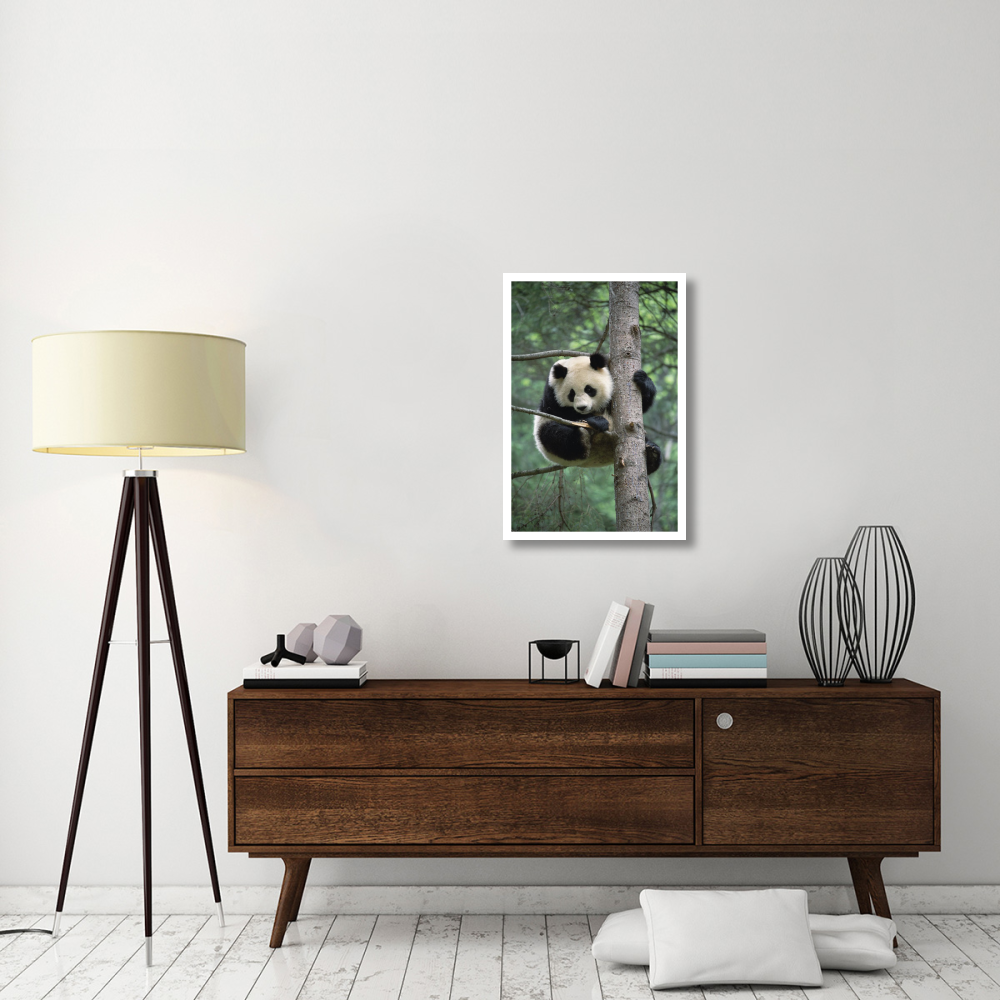 Giant Panda in tree-Paper Art-22&quotx32"