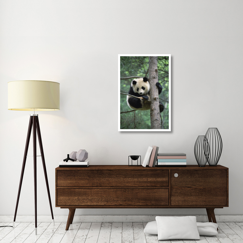 Giant Panda in tree-Paper Art-26&quotx38"