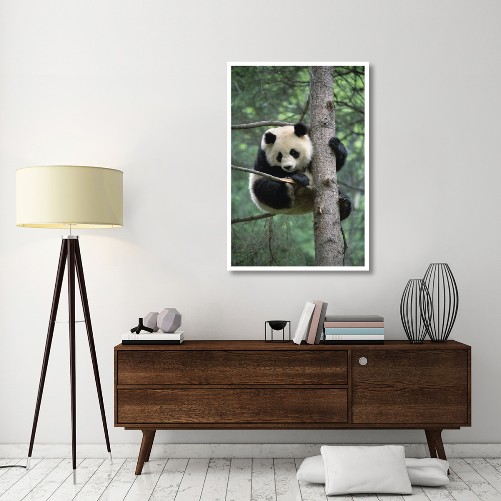Giant Panda in tree-Paper Art-34&quotx50"