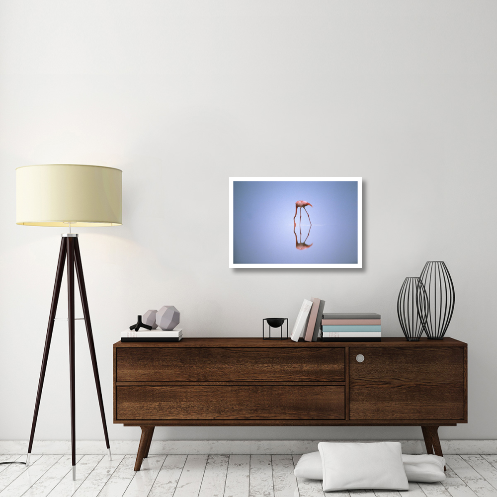 Greater Flamingo feeding, Africa-Paper Art-32&quotx22"