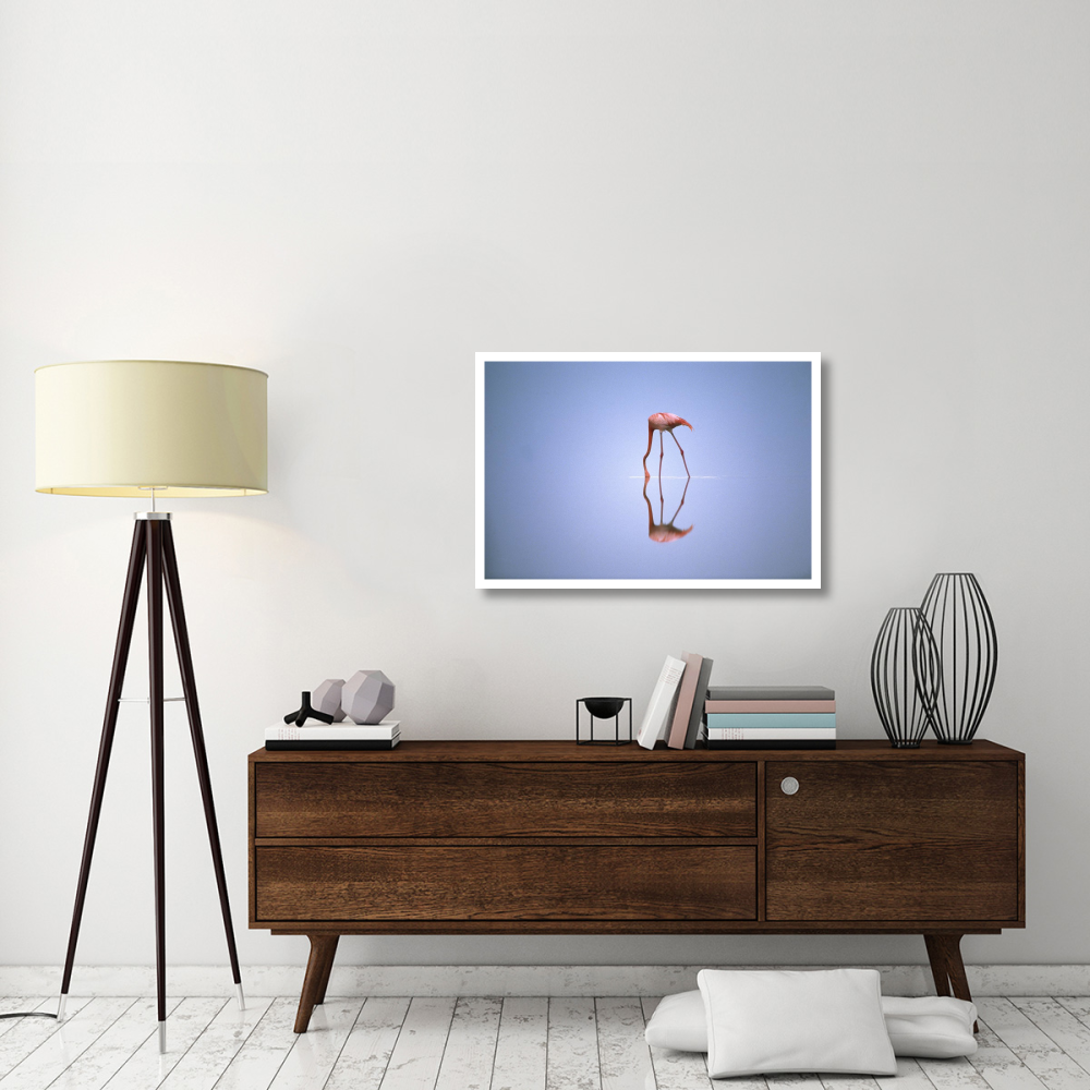 Greater Flamingo feeding, Africa-Paper Art-38&quotx26"