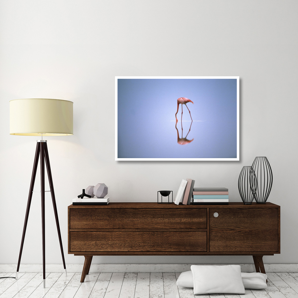 Greater Flamingo feeding, Africa-Paper Art-50&quotx34"