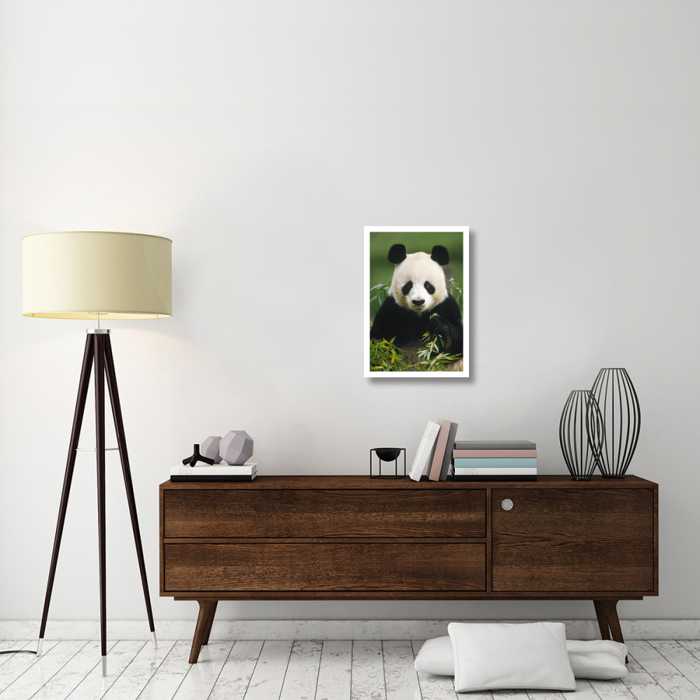 Giant Panda eating bamboo, China-Paper Art-18&quotx26"