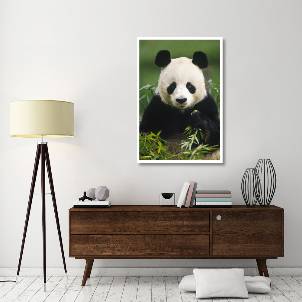 Giant Panda eating bamboo, China-Paper Art-34&quotx50"