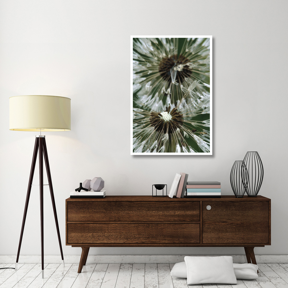 Dandelion seed head, North America-Paper Art-34&quotx50"