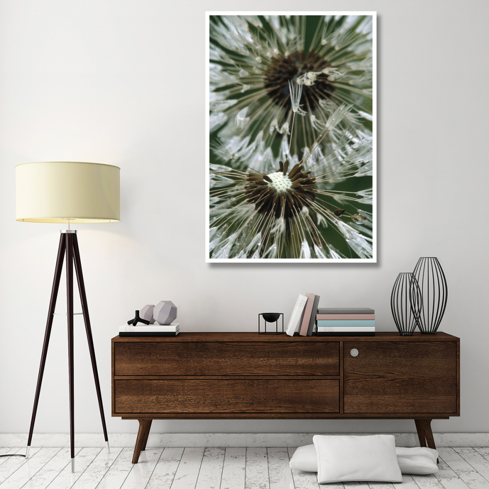 Dandelion seed head, North America-Paper Art-42&quotx62"