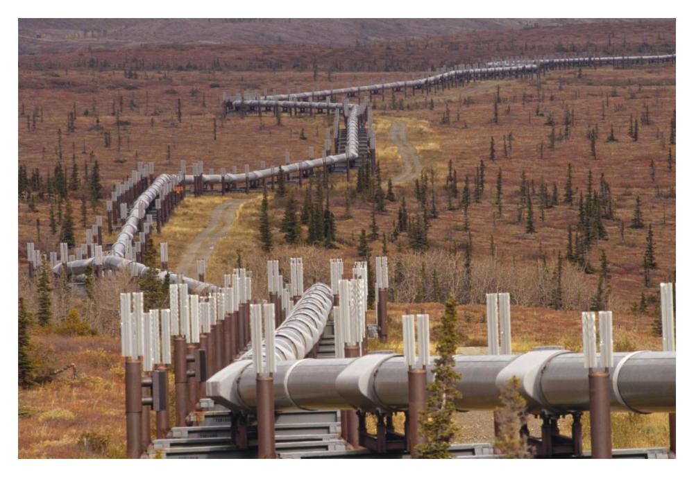 Oil pipeline crossing taiga, Alaska-Paper Art-20"x14"