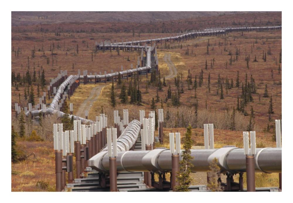 Oil pipeline crossing taiga, Alaska-Paper Art-26"x18"
