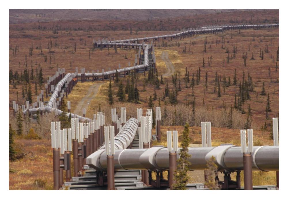 Oil pipeline crossing taiga, Alaska-Paper Art-32"x22"