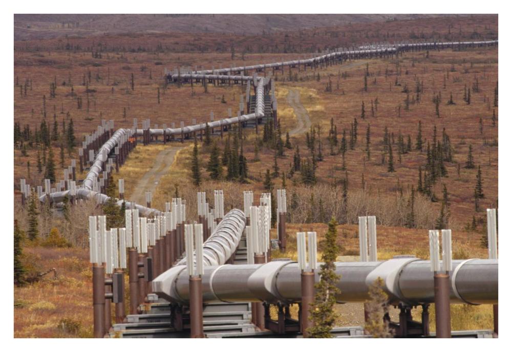 Oil pipeline crossing taiga, Alaska-Paper Art-38"x26"