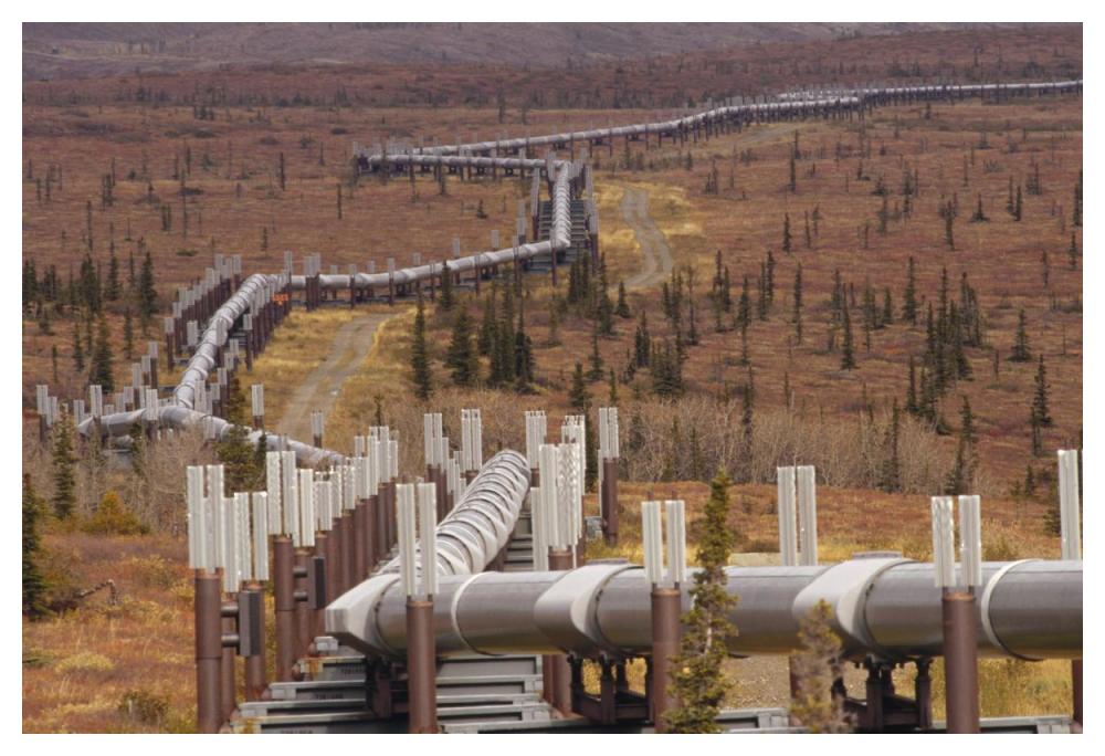 Oil pipeline crossing taiga, Alaska-Paper Art-50"x34"