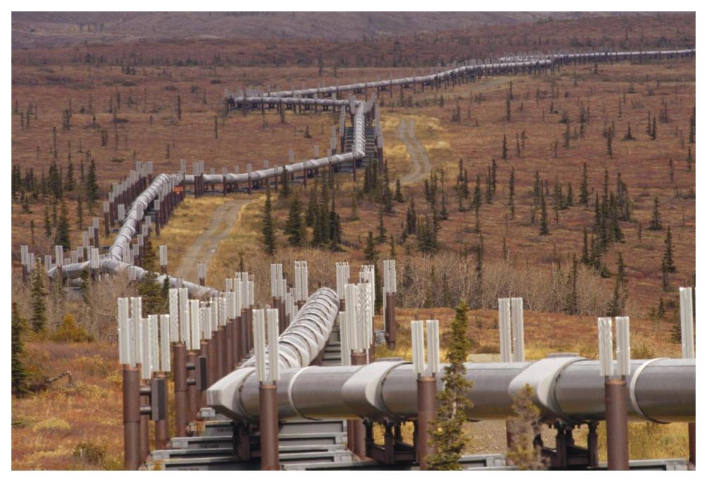 Oil pipeline crossing taiga, Alaska-Paper Art-62"x42"
